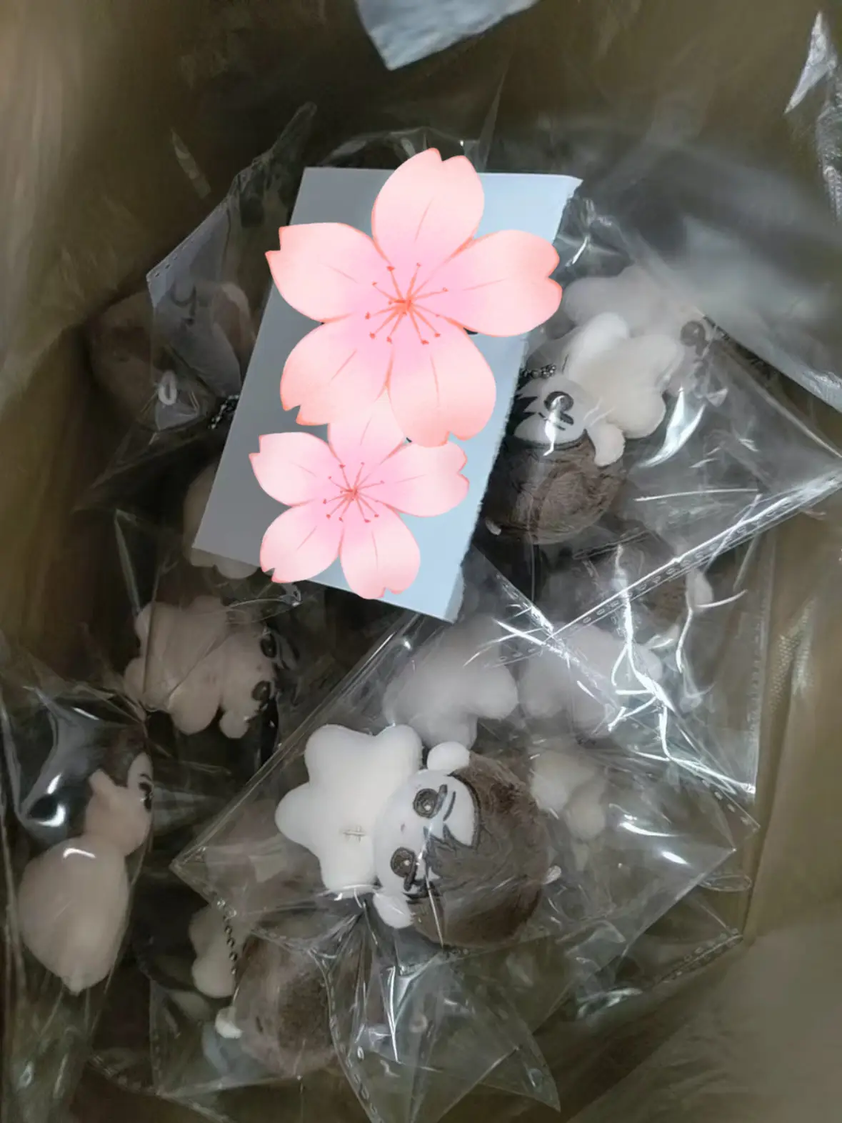 Image preview